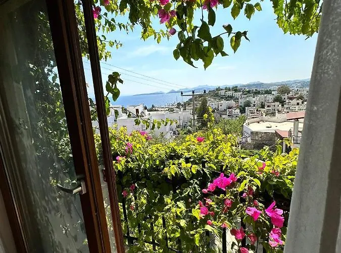 Alojamento de Acomodação e Pequeno-almoço Munahan 3*