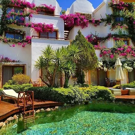 Bed & Breakfast Munahan *