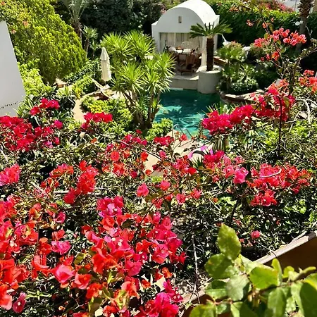 Bed & Breakfast Munahan